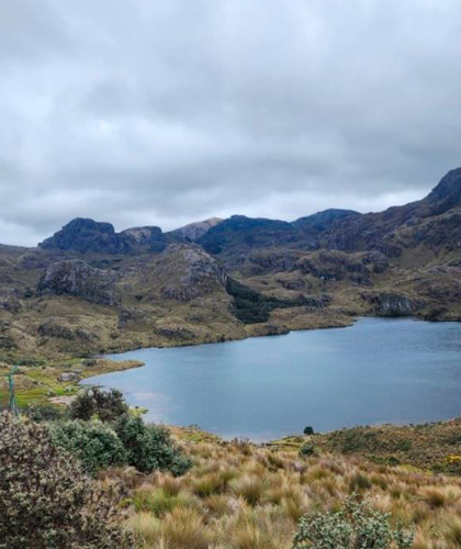 Cajas Express
