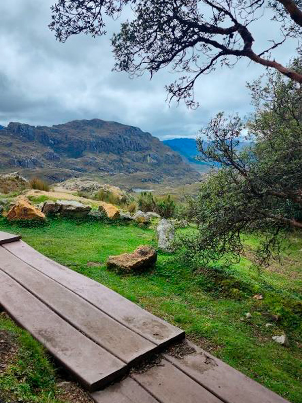 Cajas Full Day